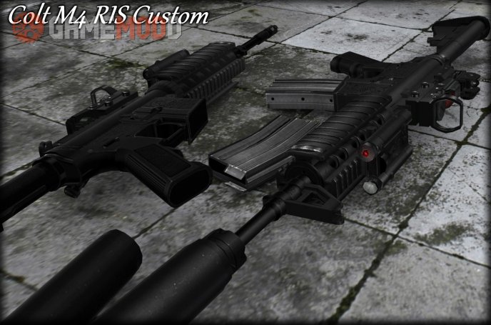 Colt M4 RIS Custom