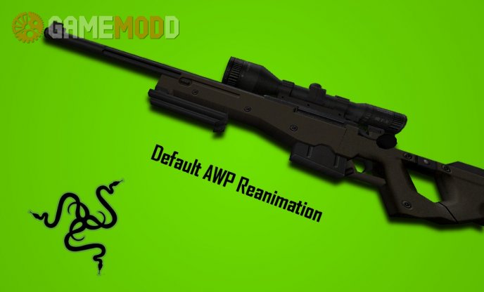 Default Awp on Unkn0wn's animations