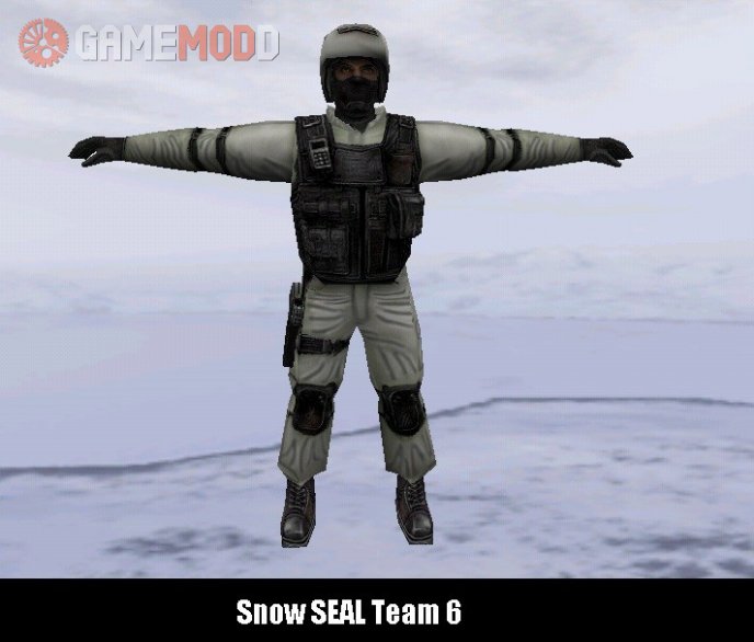 Snow SEAL Team 6