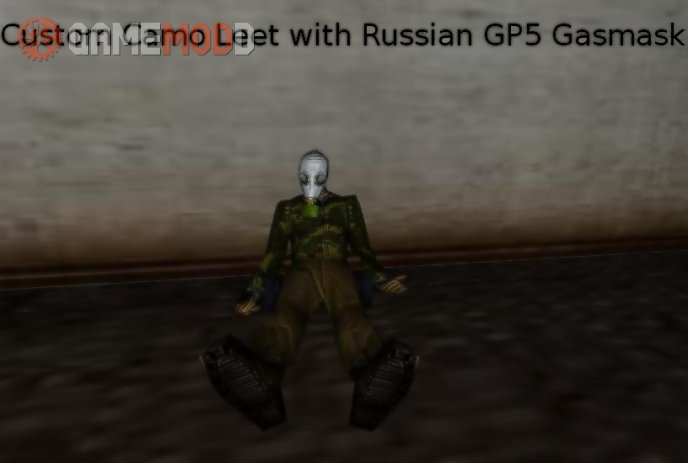 Custom Camo Leet With Russian GP5 Gasmask